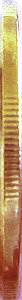 Bordo de 1 real (1997-1997) - 1994-1998 Ensaios e Provas: Real